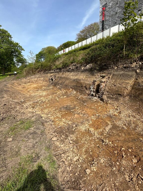 Dig and hall restoration | Japanese knotweed | JKSL